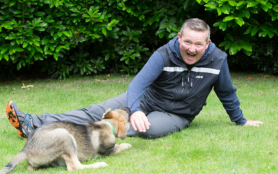 Dog Aggression Training in Cheshire: What to Expect