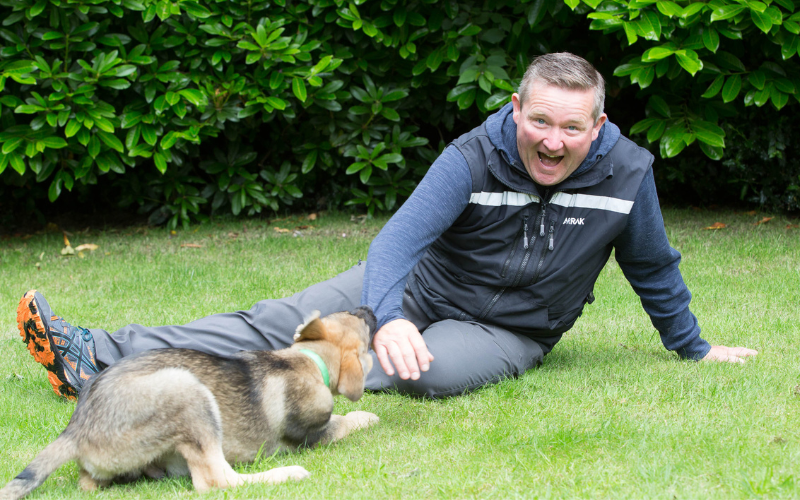 Dog aggression training in Cheshire — specialist rehabilitation at Liberty K9