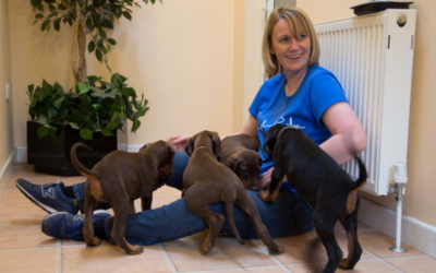 Puppy Training in Cheshire: When Should You Start?